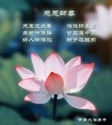 ֹ,ൺ󷨵ӹףʦ(27)