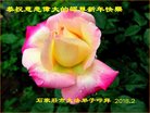 ֹ,ʯׯ󷨵ӹףʦ(24)