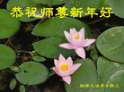 ֹ,󷨵ӹףʦ(25)
