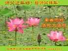 ֹ,󷨵ӹףʦ(27)