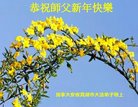 ֹ,ʡ󷨵ӹףʦ(27)