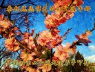 ֹ,󷨵ӹףʦ(24)