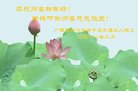 法轮功,广西大法弟子恭祝师尊新年好(26条)
