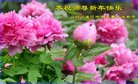 ֹ,Ĵ󷨵ӹףʦ(28)