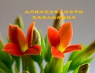 ֹ,󷨵ӹףʦ(18)