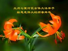 ֹ,󷨵ӹףʦ(18)