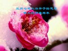 ֹ,󷨵ӹףʦ(18)