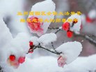 ֹ,󷨵ӹףʦ(18)