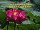 ֹ,㶫󷨵ӹףʦ(27)