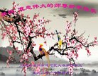 法轮功,河北大法弟子恭祝师尊新年好(25条)