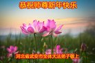 ֹ,ӱ󷨵ӹףʦ(25)