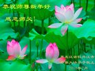 ֹ,󷨵ӹףʦ(22)