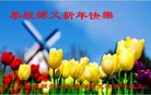 ֹ,󷨵ӹףʦ(25)