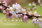 法轮功,广东大法弟子恭祝师尊新年好(25条)