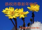 ֹ,д󷨵ӹףʦ(23)