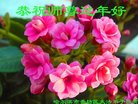 ֹ,󷨵ӹףʦ(22)