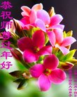ֹ,󷨵ӹףʦ(22)