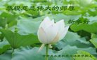 ֹ,󷨵ӹףʦ(24)