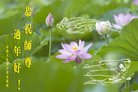 ֹ,󷨵ӹףʦ(27)