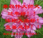 ֹ,Ϋ󷨵ӹףʦ(26)