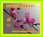 法轮功,河北大法弟子恭祝师尊新年好(26条)