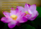 ֹ,ൺ󷨵ӹףʦ(27)