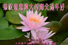 ֹ,󷨵ӹףʦ(27)