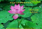 ֹ,󷨵ӹףʦ(25)