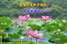 ֹ,ľ˹󷨵ӹףʦ(26)