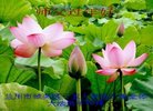 ֹ,󷨵ӹףʦ(24)
