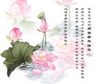 ֹ,󷨵ӹףʦ(23)