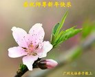 法轮功,广东大法弟子恭祝师尊新年好(31条)