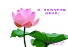 ֹ,㶫󷨵ӹףʦ(32)
