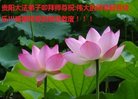 ֹ,ݴ󷨵ӹףʦ(24)