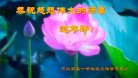ֹ,żҿڴ󷨵ӹףʦ(23)