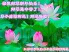 ֹ,մ󷨵ӹףʦ(24)