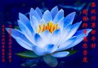 法轮功,河南大法弟子恭祝师尊新年好(28条)