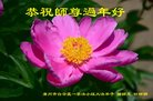 法轮功,广东大法弟子恭祝师尊新年好(31条)