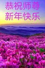 ֹ,մ󷨵ӹףʦ(24)