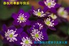 ֹ,Ĵ󷨵ӹףʦ(28)