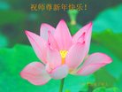 ֹ,㶫󷨵ӹףʦ(31)
