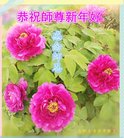 ֹ,մ󷨵ӹףʦ(26)