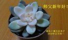 ֹ,󷨵ӹףʦ(24)