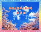ֹ,ɶ󷨵ӹףʦ(21)