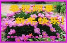ֹ,д󷨵ӹףʦ(21)