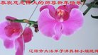 ֹ,ʡ󷨵ӹףʦ(20)