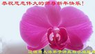 ֹ,ʡ󷨵ӹףʦ(20)