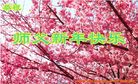 ֹ,Ĵ󷨵ӹףʦ(20)