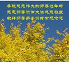 法轮功,大庆大法弟子恭祝师尊新年好(22条)