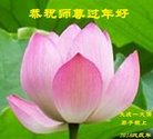 法轮功,大庆大法弟子恭祝师尊新年好(20条)